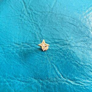 BodyArtForms goldtone North Star Ear Piercing 16G